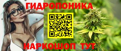 прущие грибы Будённовск