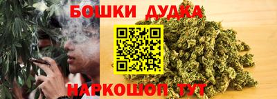 прущие грибы Будённовск
