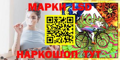 прущие грибы Будённовск