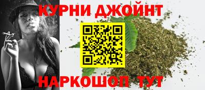 прущие грибы Будённовск