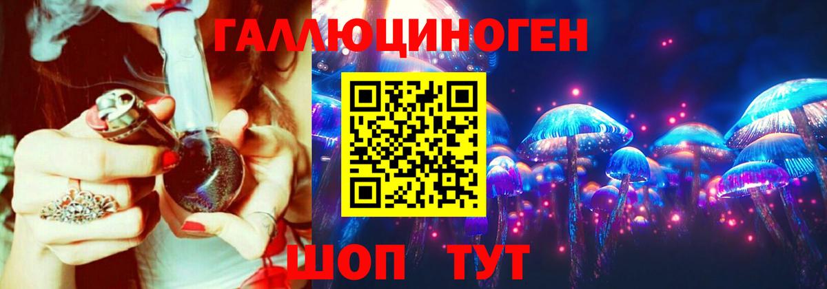 Галлюциногенные грибы прущие грибы Сокол